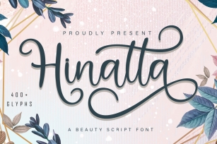 Hinatta Beauty Script Font Font Download