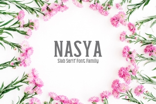 Nasya Slab Serif 4 Font Family Pack Font Download