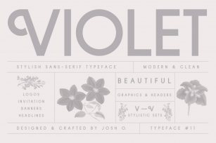 Violet | A Stylish Sans Serif Font Download