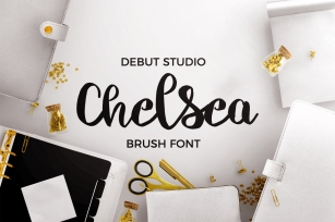 Chelsea Font Duo - Brush & Script Font Download