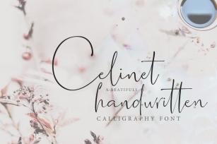 Celinet / Script Font Font Download