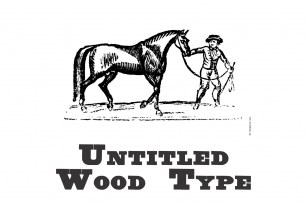 Untitled Wood Type Font Download