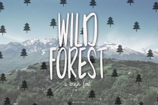 Wild Forest a modern brush font Font Download