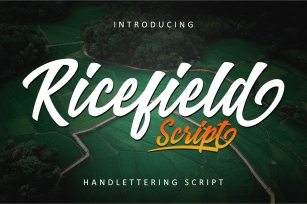 Ricefield Script Font Download