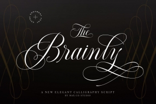 Brainly Script- With Ornament Font Download