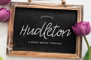 Hudleton Typeface Font Download