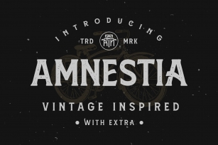 Amnestia Typeface with Extra Font Download