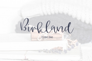 Birkland - A Font Duo Font Download