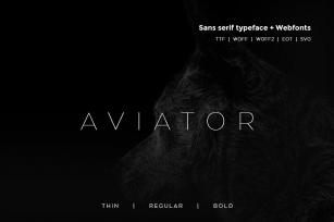 Aviator - Modern Typeface WebFont Font Download
