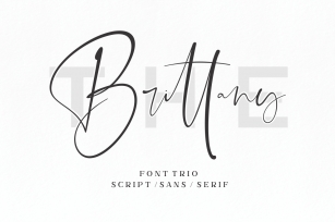 The Brittany  Font Trio Font Download