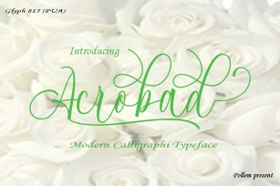 Acrobad Script Font Download