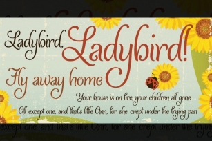 Ladybird Font Download