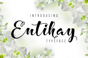 Entihay Typeface Font Download