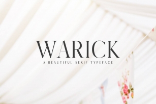 Warick Serif Font Family Font Download