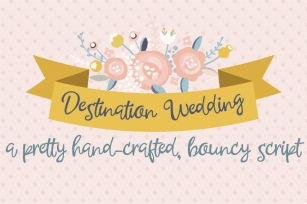 ZP Destination Wedding Font Download