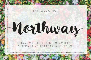 Northway Script Font Download
