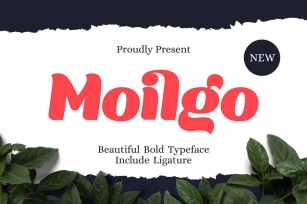 Moilgo - Beautiful Bold Font Font Download