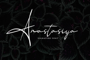Anastasiya Elegant Signature Font Font Download