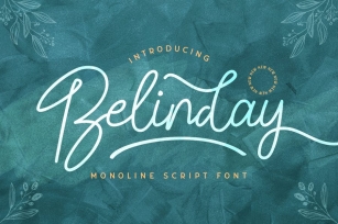 Belinday - Monoline Script Font Font Download