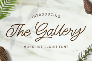 The Gallery - Monoline Script Font Font Download