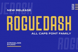 Roguedash - Stylish Sans Font Family Font Download