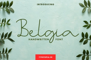 Belgia Handwritten Font Download