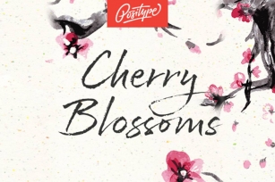 Cherry Blossoms Font Download