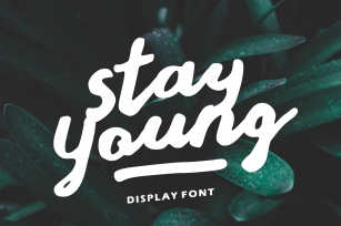 Stay Young - A Display Font Font Download