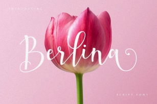 Berlina Script Font Download