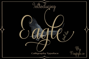 Eagle Font duo Font Download
