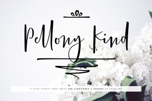 Pellony Kind Cute + Extras Font Download