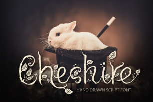 Cheshire. Magic script font. Font Download