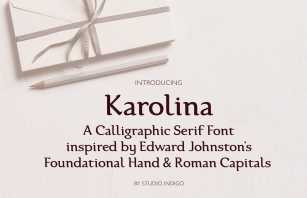 Karolina Serif Font Font Download