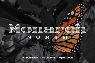 Monarch North Slab Serif Font Download