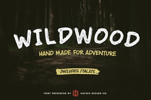Wildwood Dry Brush Font Font Download