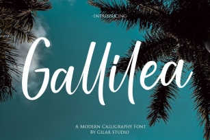 Gallillea | A Modern Calligraphy Font Font Download