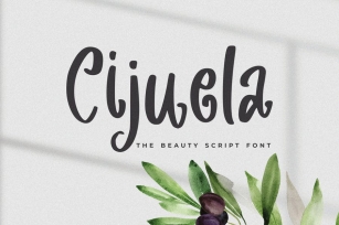 Cijuela - The Beauty Script Font Font Download