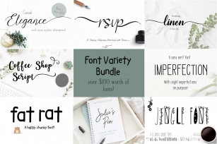 Font Bundle Variety of Script Serif and Fun Font Download