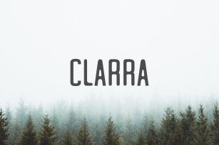 Clarra Sans Serif Font Family Font Download