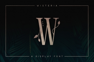Wisteria - Display Font Font Download