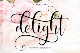 Delight Script | 4 Font Font Download