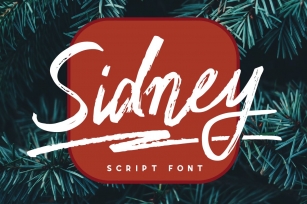 Sidney - clean & rough Font Download