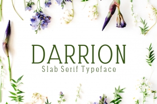 Darrion Slab Serif Typeface Font Download