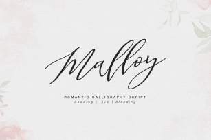 Malloy Font Download