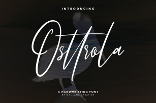 Osttrola Handwritting Font Font Download