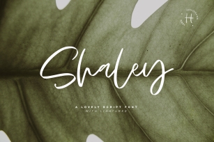 SHALEY SCRIPT Font Download