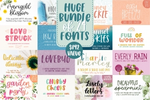 Huge Font Bundle, 24 fonts from 16 Font Families Font Download