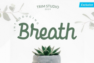 Breath - Beauty in Bold Script Font Download