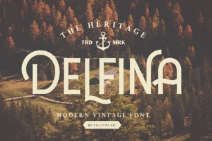 DELFINA - Vintage Sans Serif Font Font Download