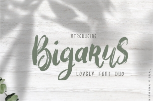 Bigarus - Font Duo Font Download